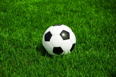 体育记者李女士使用足球数据平台